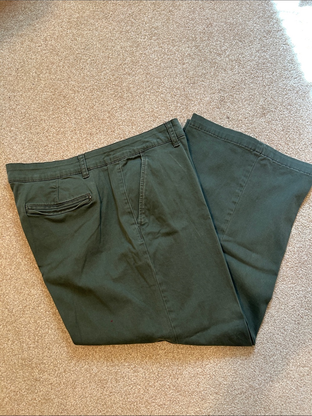 a.n.a High-Rise Wide Leg Crop Chinos.